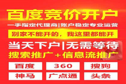 竞价广告投放策略，代运营公司的成功实践
